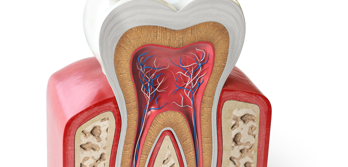 the role of root canal therapy in the prevention of tooth loss